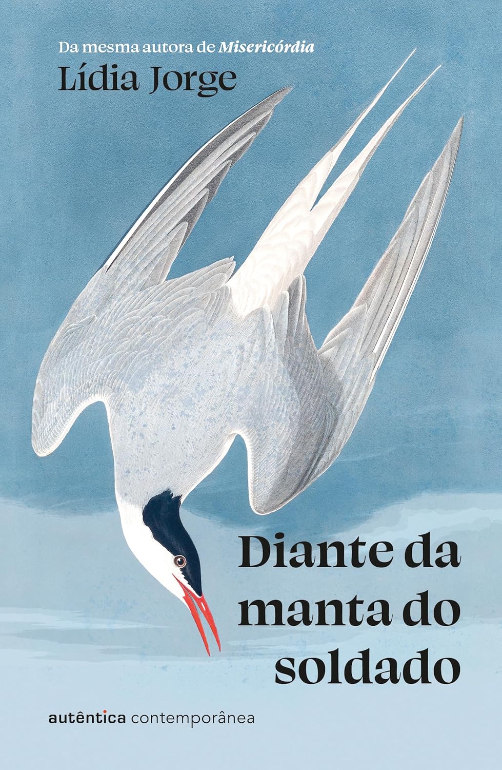 Capa de “Diante da manta do soldado”