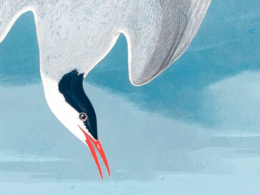 Detalhe da capa de “Diante da manta do soldado” | Autêntica Contemporânea/Divulgação
