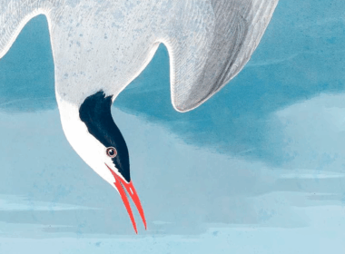 Detalhe da capa de “Diante da manta do soldado” | Autêntica Contemporânea/Divulgação