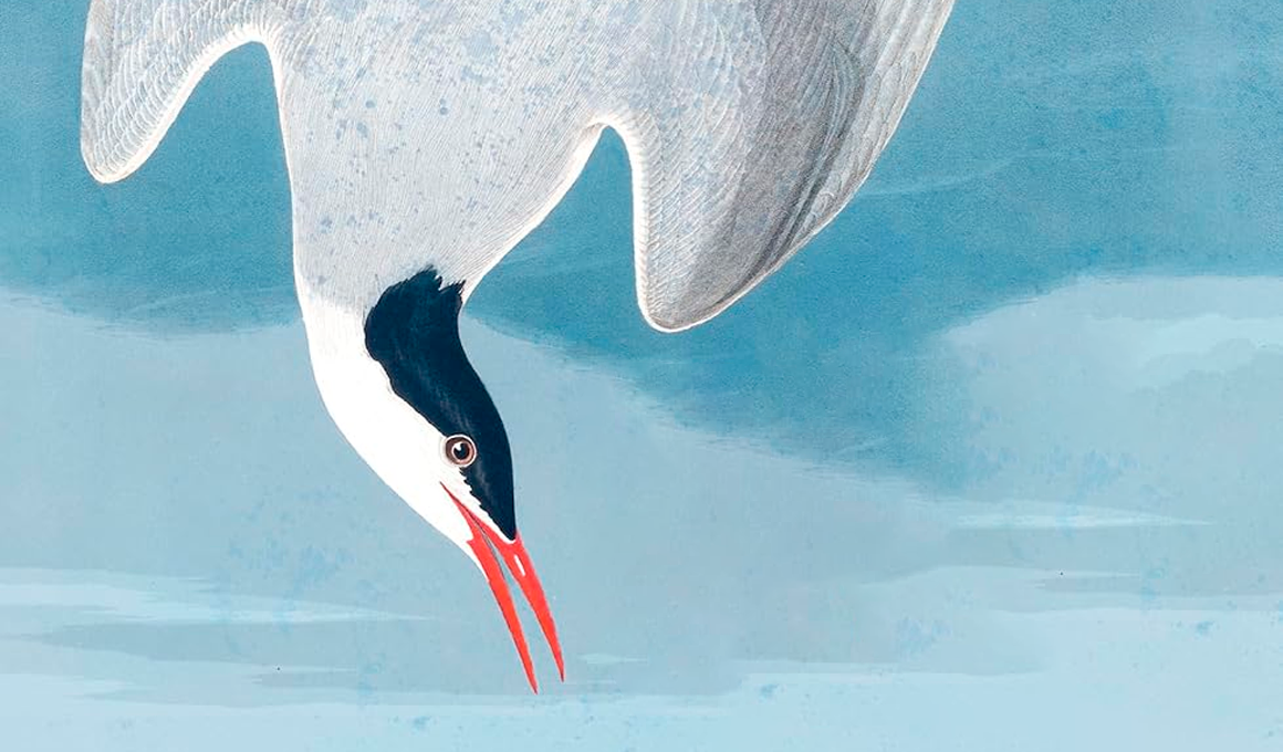 Detalhe da capa de “Diante da manta do soldado” | Autêntica Contemporânea/Divulgação
